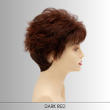 Kitana - Synthetic Wig Collection by Envy