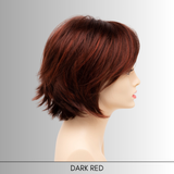 Delaney - Synthetic Wig Collection by Envy