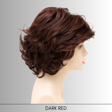 Savannah - Synthetic Wig Collection by Envy