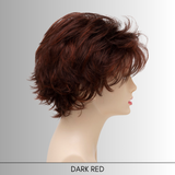 Victoria - Synthetic Wig Collection by Envy