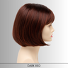 Scarlett - Synthetic Wig Collection by Envy