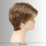 Shari (Large Cap) - Synthetic Wig Collection by Envy