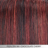 Top Full 12" Human Hair - Human Hair Topper Collection by Jon Renau