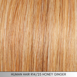 High Fashion - Couture 100% Remy Human Hair Collection by Raquel Welch