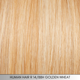 High Fashion - Couture 100% Remy Human Hair Collection by Raquel Welch