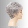 Jacqueline - Synthetic Wig Collection by Envy