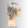 Jane - Synthetic Wig Collection by Envy