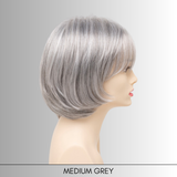 Haley - Synthetic Wig Collection by Envy