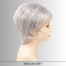 Elle - Synthetic Wig Collection by Envy