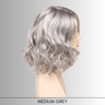 Brittaney - Synthetic Wig Collection by Envy