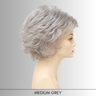 Alyssa (Petite) - Synthetic Wig Collection by Envy