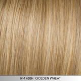 Long with Layers - Fashion Wig Collection by Hairdo