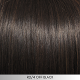 Au Naturel HD 6" Topper - Extensions and Hairpieces by Hairdo
