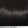 Sparkle Elite - Signature Wig Collection by Raquel Welch