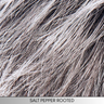 Avenue Small Soft - Hair Society Collection by Ellen Wille