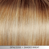 Beauty Reign - Designer Series Collection by Gabor