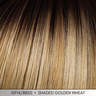 Serving Looks • Designer Series Collection by Gabor