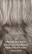 Load image into Gallery viewer, Carmen - Synthetic Wig Collection by Henry Margu
