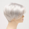 Amy - Synthetic Wig Collection by Envy
