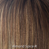 Long Top Piece - Hi Fashion Hair Enhancement Collection by Rene of Paris